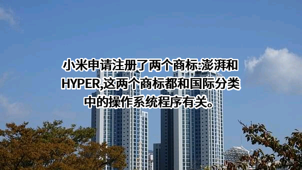小米科技有限责任公司