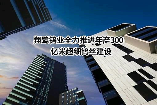 翔鹭钨业全力推进年产300亿米超细钨丝建设