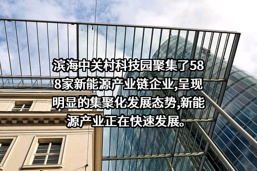 国网电动汽车服务（天津）有限公司