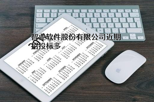 智业软件股份有限公司