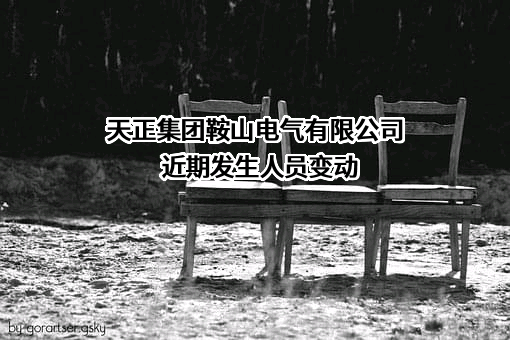 天正集团鞍山电气有限公司