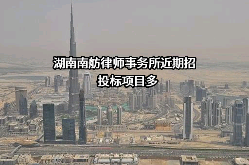 湖南南舫律师事务所