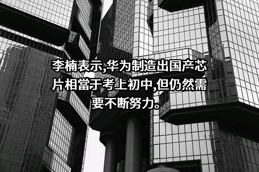 华为技术有限公司