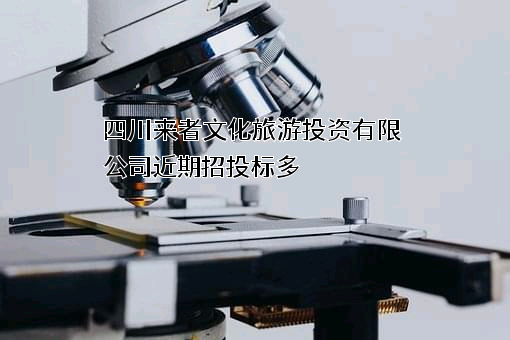 四川来者文化旅游投资有限公司