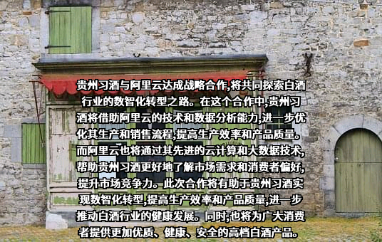 阿里云计算有限公司