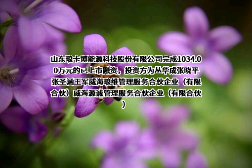 山东琅卡博能源科技股份有限公司
