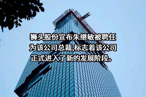 狮头科技发展股份有限公司