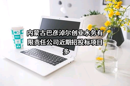 内蒙古巴彦淖尔创业水务有限责任公司
