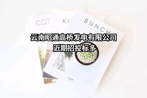 云南昭通高桥发电有限公司