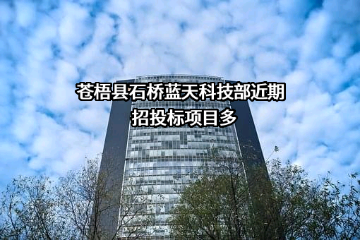 苍梧县石桥蓝天科技部近期招投标项目多