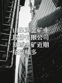 山东黄金矿业股份有限公司新城金矿
