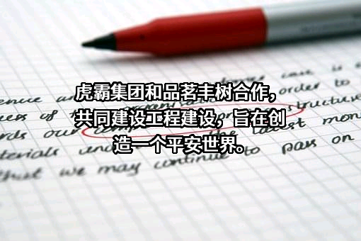 海宁虎霸集团有限公司