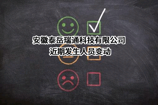 安徽泰岳瑞通科技有限公司