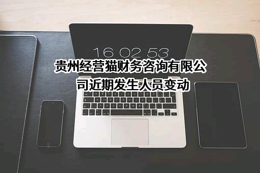 贵州经营猫财务咨询有限公司