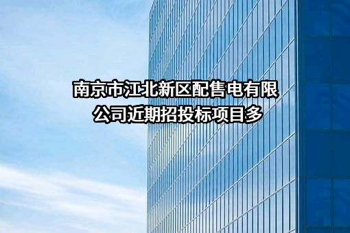 南京市江北新区配售电有限公司