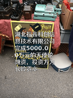 湖北福鑫科创信息技术有限公司