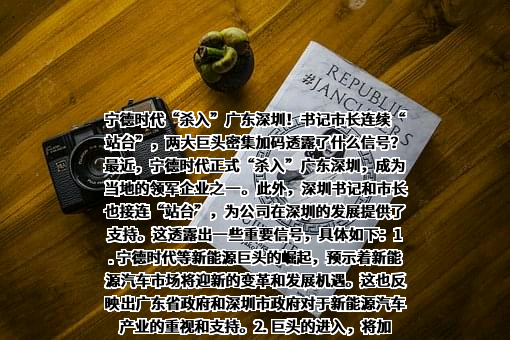 宁德时代新能源科技股份有限公司