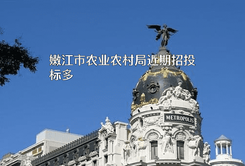 嫩江市农业农村局