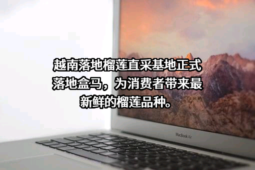 上海盒马网络科技有限公司