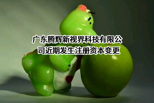 广东腾辉新视界科技有限公司