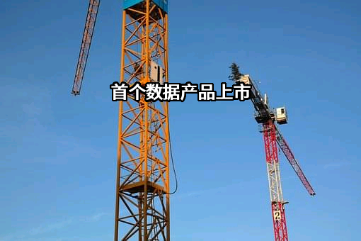 上工申贝（集团）股份有限公司