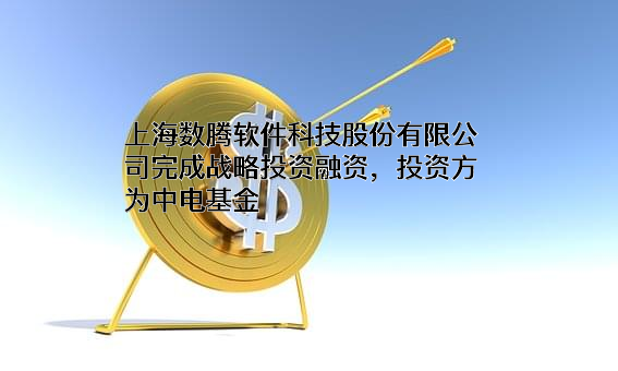 上海数腾软件科技股份有限公司