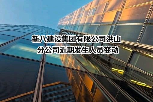 新八建设集团有限公司洪山分公司