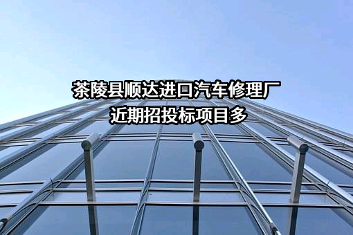 茶陵县顺达进口汽车修理厂