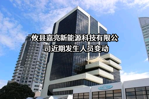攸县嘉亮新能源科技有限公司