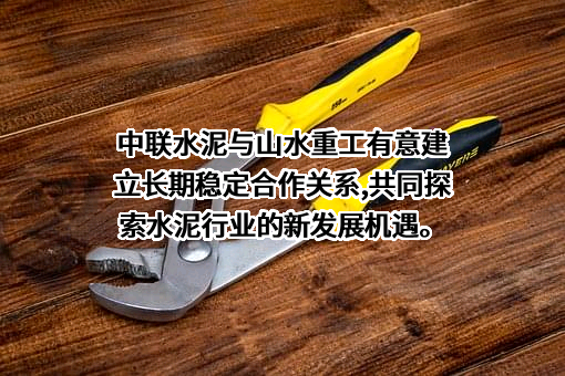 山东山水重工有限公司