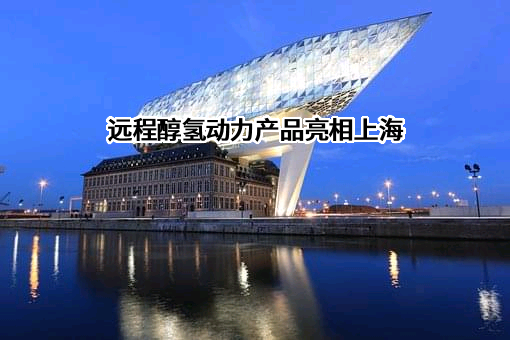 汉马科技集团股份有限公司