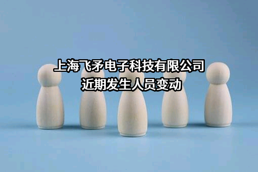 上海飞矛电子科技有限公司