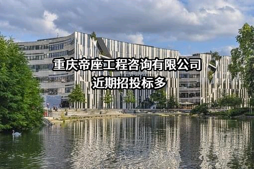 重庆帝座工程咨询有限公司