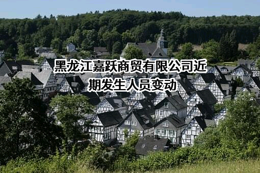 黑龙江嘉跃商贸有限公司