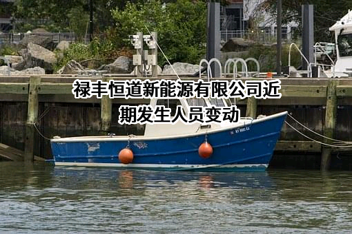 禄丰恒道新能源有限公司