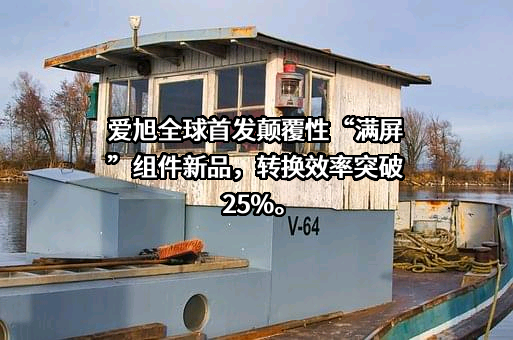 上海爱旭新能源股份有限公司