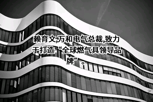 广东万和新电气股份有限公司