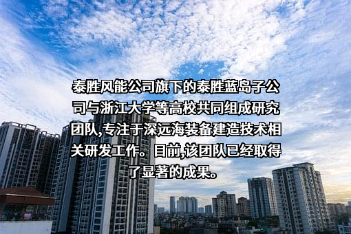 上海泰胜风能装备股份有限公司