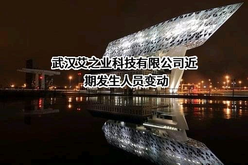 武汉艾之业科技有限公司