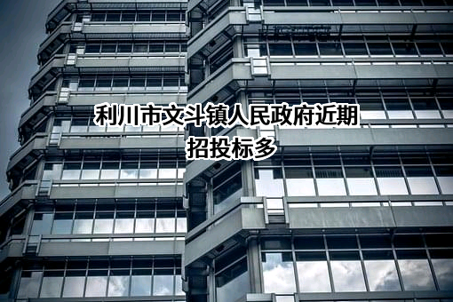 利川市文斗镇人民政府