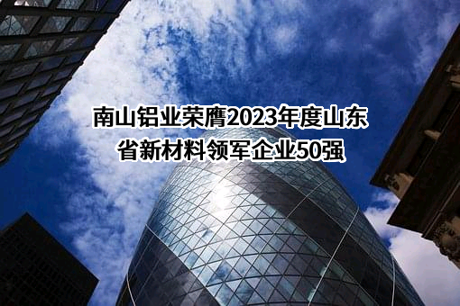 山东南山铝业股份有限公司