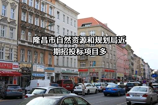 隆昌市自然资源和规划局
