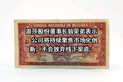 四川浪莎控股股份有限公司