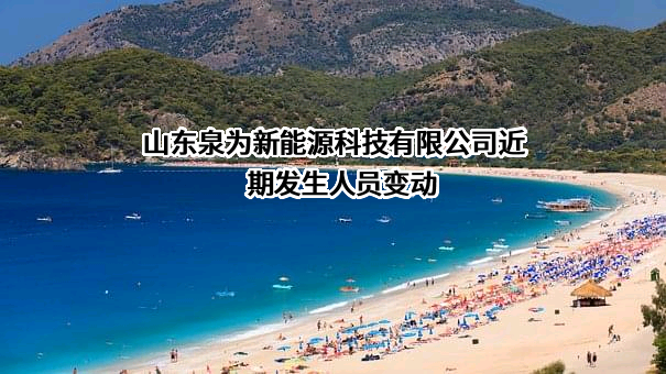 山东泉为新能源科技有限公司