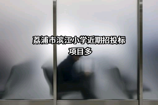 荔浦市滨江小学近期招投标项目多