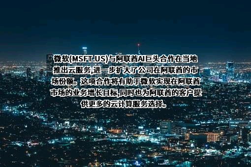 微软（中国）有限公司