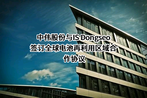 中伟新材料股份有限公司