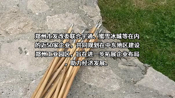 蜜雪冰城股份有限公司
