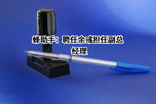 蜂助手股份有限公司