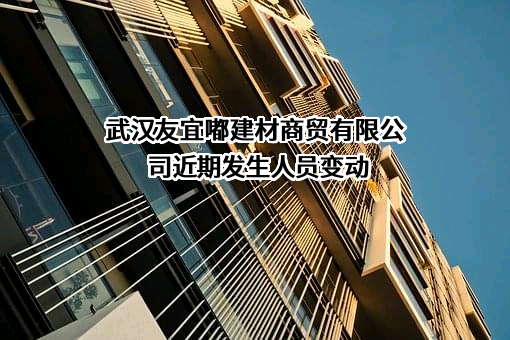 武汉友宜嘟建材商贸有限公司